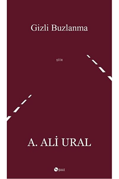 Şule Yayınları Gizli Buzlanma