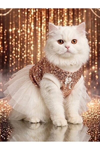Peti Tailor Kedi Elbisesi Pullu Payetli Kat Kat Tüllü Likralı Özel Gün Kedi K...
