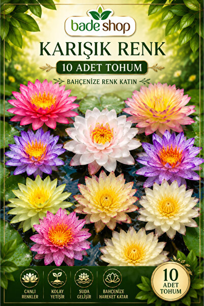 Bade Shop 10 Adet Karışık Renk Katmerli Lotus (Nilüfer) Tohumu – Egzotik Su B...