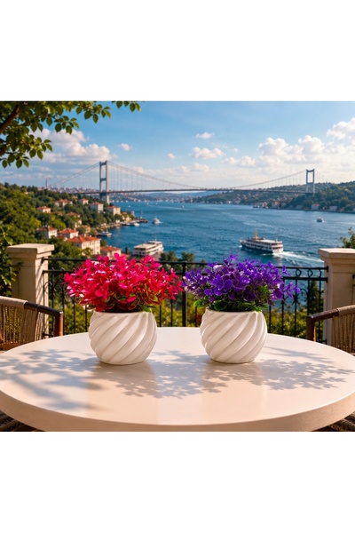 Evim de Evim 2 li renkli yaprak şöleni ve modern beton saksı seti premium raf...