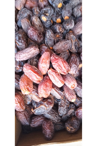 HURMA ORGANİK