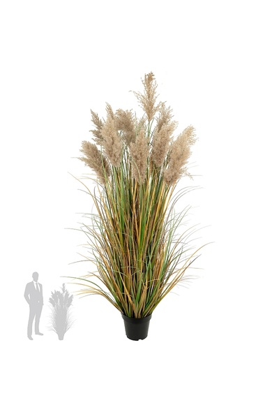 Roberto Rossi Iarba artificiala Onion 150 cm cu 13 flori naturale de pampas b...