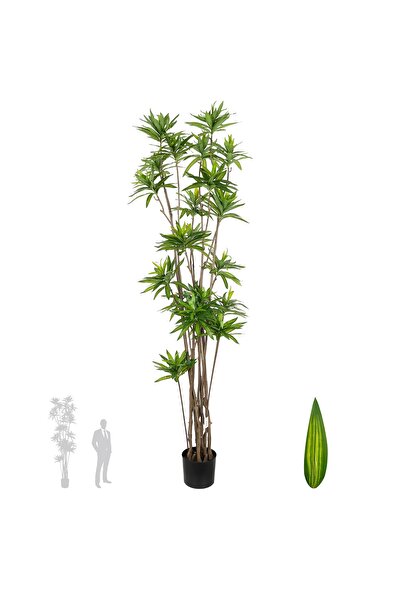Roberto Rossi Dracaena artificiala H220cm fragrans cu frunze verzi