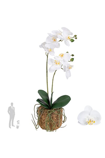 Roberto Rossi Orhidee artificiala alba cu aspect H51 cm cu 2 tulpini