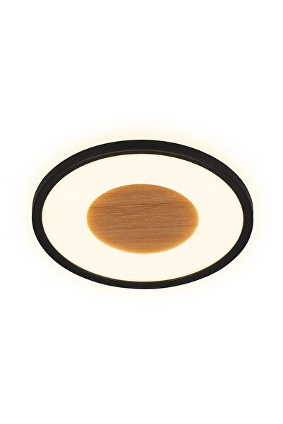 OEM Spot LED rotund de tavan, diametru 30 cm, plastic PP mat, clasă E, 230V, ...