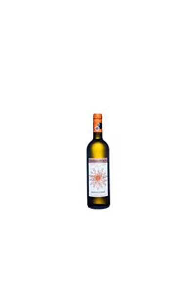 Vinaria ostrov Semi-sweet white wine Muscat Ottonel 0.75 L