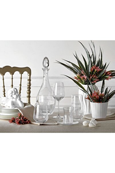 DECOSTYLE Hisar 49 Piece Dowry Glass Set for 12 People - Glass Water and Tea Set