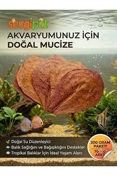 sevgipet Doğal Catappa Yaprağı - Ekonomik Paket Akvaryum Su Düzenleyici (200 ...