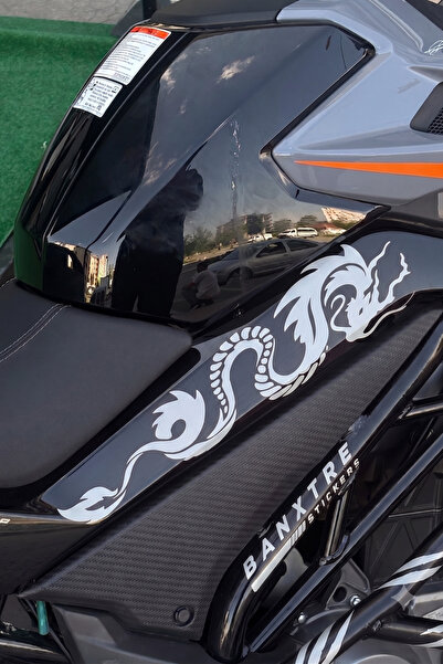 Banxtre مجموعة ملصقات CFMOTO NK250 المتوافقة مع تصميم Dragon Design متوسطة ال...