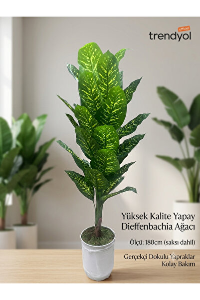 HMSDEKOR Yapay ağaç 180cm difenbahya ağacı saksı dahil