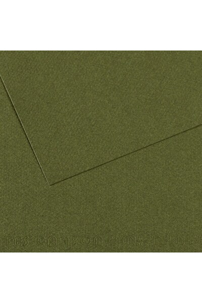 Canson كرتون مزخرف من مي-تينتس 160 جرام 50x65 سم عبوة من 10 قطع سارماشيك 448