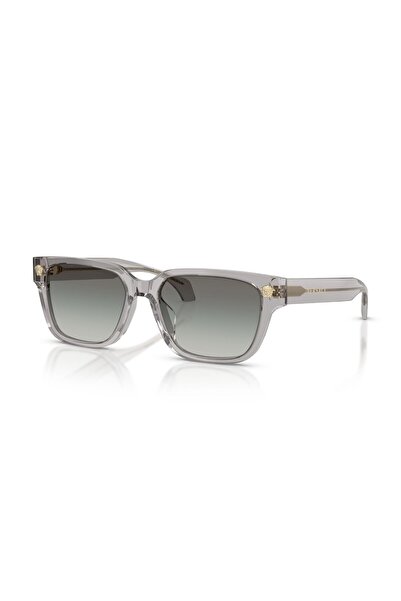 Versace VE 4513-D 593/11