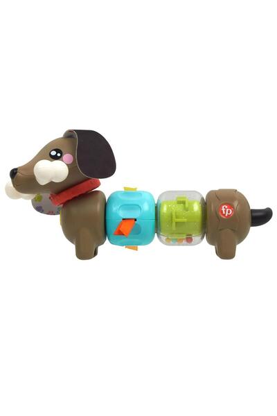 FISHER PRICE Köpekçikle Eğlenceli Aktiviteler