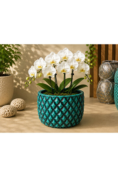 Home Dekor saksı