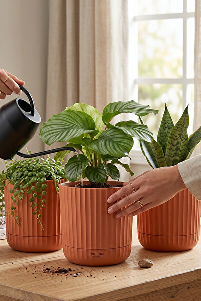TEMMUZ HOME Zeraf Saksı No:2–3 Adet 2.6 Litre Tabaklı Masa veSehpa Üzeri Saks...