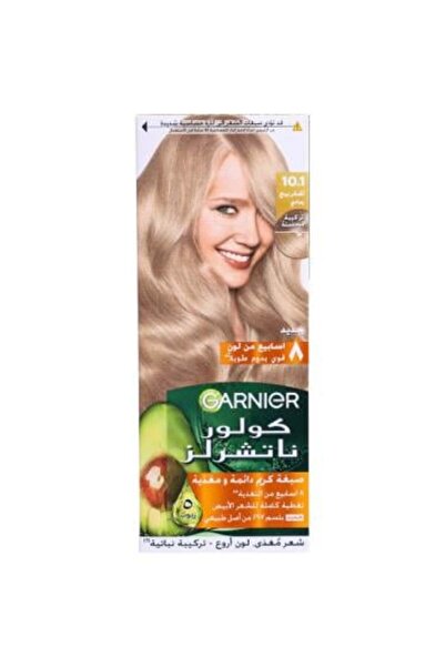 Garnier صبغة شعر كولور ناتشورالز من غارنييه - لون اشقر بيج رمادي 10.1