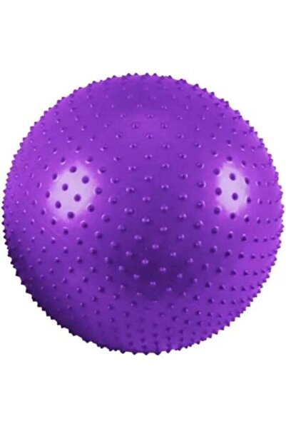 Day To Day Yoga Exercise Fitness Ball 65cm Anti Burst Big Inflatable Ball Wit...
