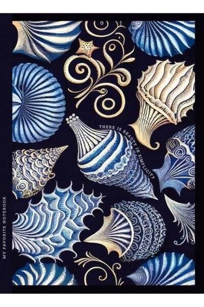 Fresh Company Caiet decorativ 143x200/64K carouri TW Cochilii