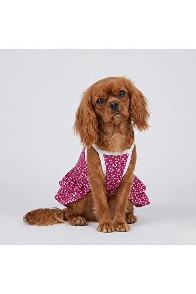 Buddy Store Pembe desenli biye kol elbise