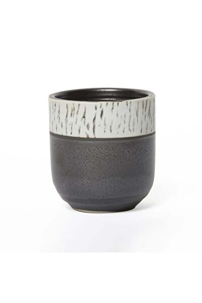 BARISTAR Ceramic Mug (Past) 250 ml Capacity from Barista