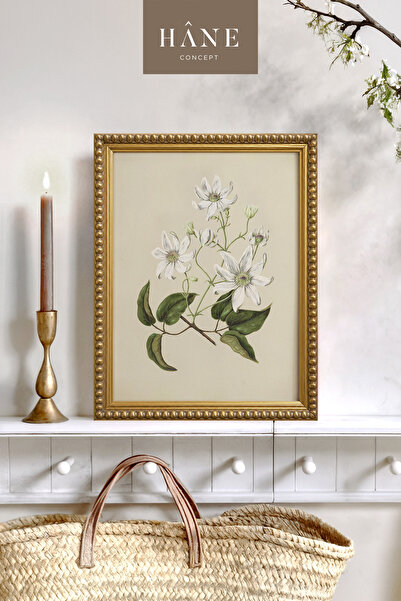 Hane Concept Vintage slika ukrasna belom cvetnom granom, vintage elegantna sl...