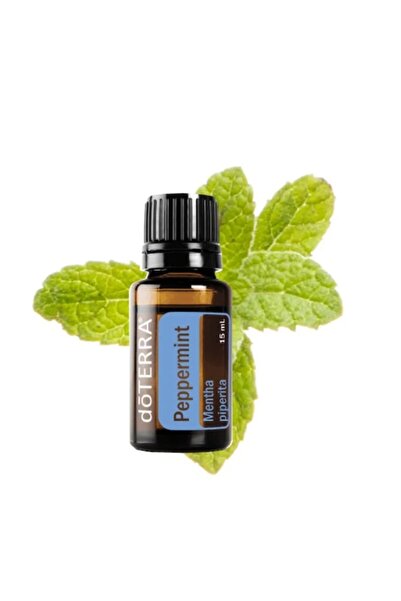 DoTERRA نعناع (مينثا بيبيتيرا)