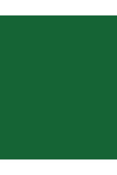 Canson Χαρτί Colorline 50Χ70 σε πράσινο χρώμα πεύκου (105741145)