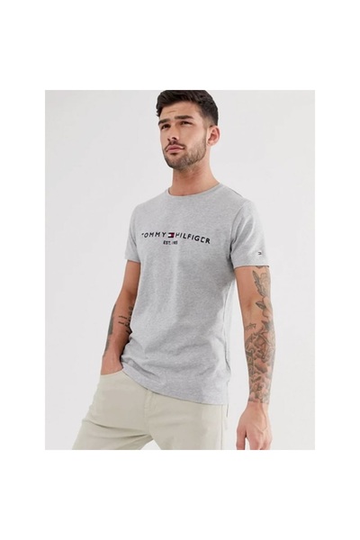 Tommy Hilfiger Plus Tommy Men's Crew Neck T-Shirt