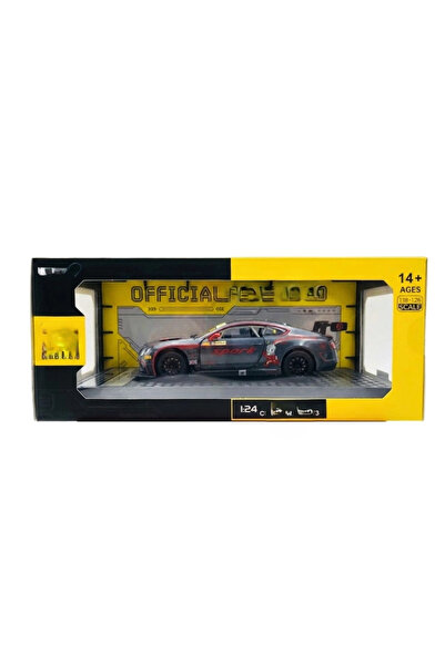 Generic Brand Mey Import ®   1/24 Gt3 Silver Grey Model Car