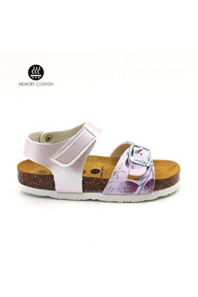 PLAKTON 135663 Est. Lila Palo