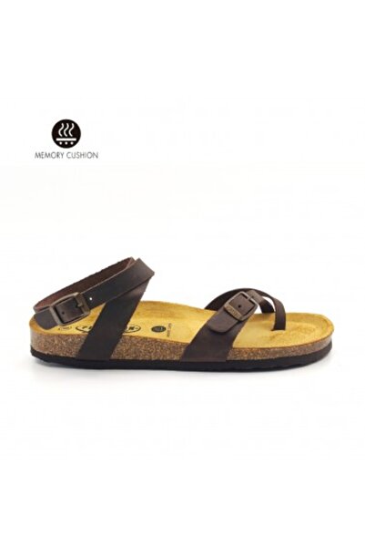PLAKTON 181204 Apure Marron