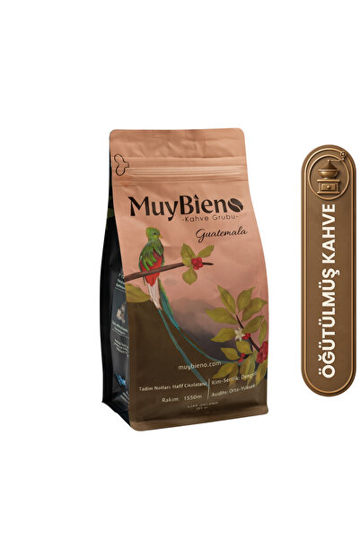 Mb Muybien Kahve grubu Popular Ground Filter Advantage Package 3X250 g
