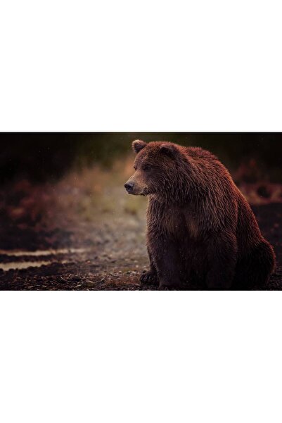 Persona Tablou canvas 100 x 70 cm, Animale model 478