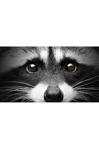 Persona Tablou canvas 100 x 70 cm, Animale model 516