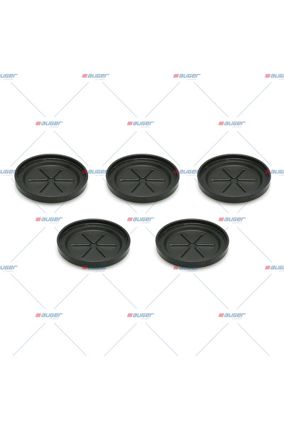 Auger Kit Reparatie Etrier 2000-2026