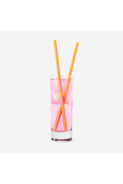 Flying Tiger Copenhagen 8'li Tekrar Kullanılabilir Plastik Pipet