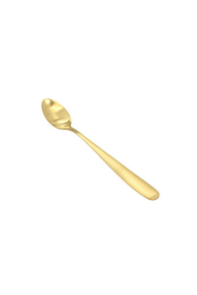 genric Gold Ice Cream Spoon Set (18/10)