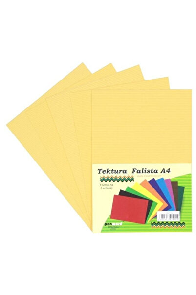 PENWORD Carton ondulat A4 set 5 foi multicolor 22x31cm