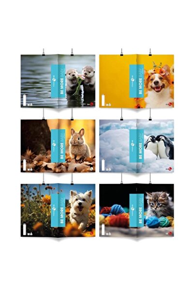 OEM Caiete Koh-I-Noor A4 96 file liniate set 10 multicolor