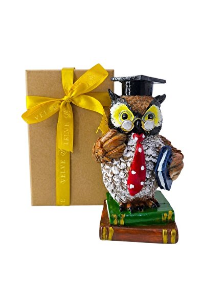 velve Figurina din rasina Bufnita absolvent cu carte, simbol intelepciune, 16 cm