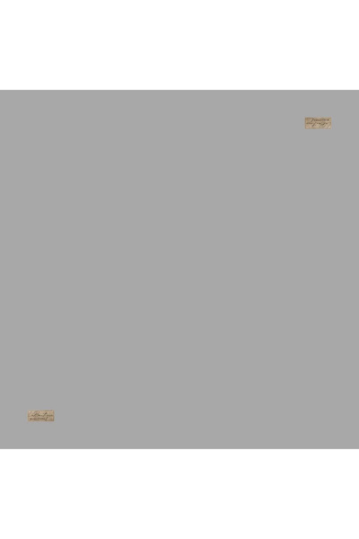LA BOUTIQUE Labouti̇que Di̇ana Eşarp Cotton Modal Crystal Woven Solid Light Gray