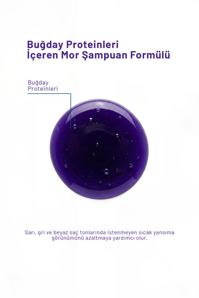 hommlife Purple Shampoo - 300 ml