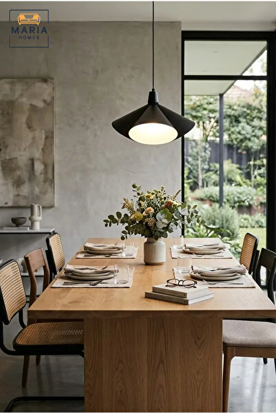 MARIA HOMES Modern Black Pendant Light with Sculptural Metal Shade and Diffus...