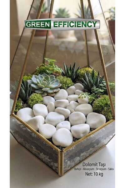 Green Efficiency Beyaz Dolomit Taşı 10 Kg 2-4 CM | Saksı Üstü Dekoratif Çakıl...