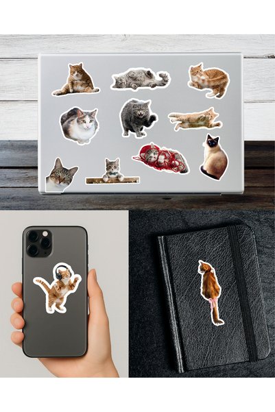 TT sticker Cute Cats 2 Sticker Set Bullet Journal Agenda Notebook Laptop Tablet Phone Sticker Decal