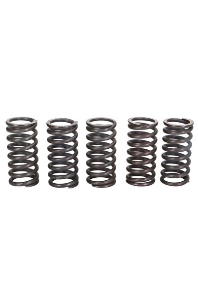 TRW Set Arcuri Ambreiaj Husqvarna Sm Suzuki Gz Vl Triumph Adventurer Daytona ...