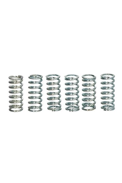 TRW Set Arcuri Ambreiaj (ranforsat) Kawasaki Kdx Ke Kh Klf Klx Kx Suzuki Gn G...
