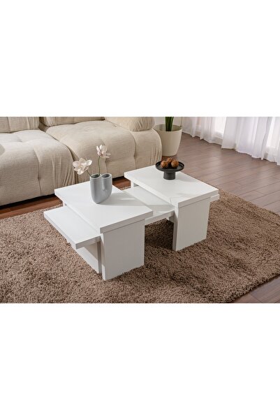 Rani Mobilya Rani Home Orta Sehpa Ahşap Desenli Beyaz 110 Cm AB-5513