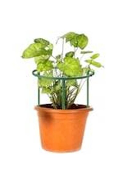 OEM Set suport pentru plante rotund, verde, 8 piese, plastic