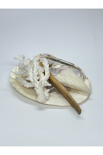 gemsartdeco Oyster Bowl with Incense, Coral and Palo Santo Gift Set